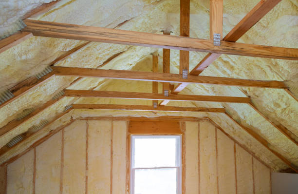 Best Insulation for Specific Applications in Lanett, AL