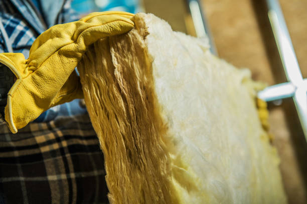 Best Insulation Maintenance and Repair in Lanett, AL