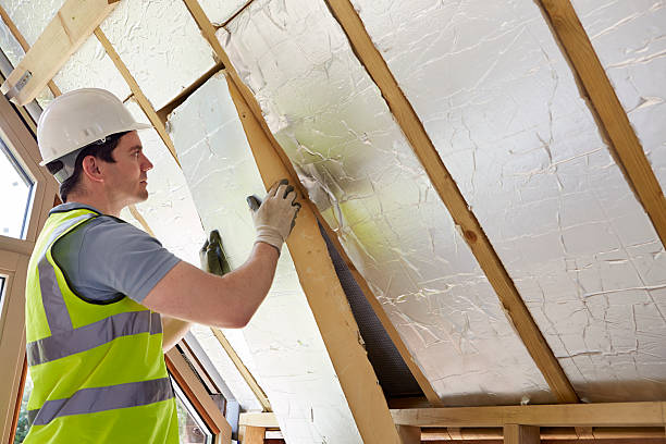 Best Insulation for Specific Applications in Lanett, AL