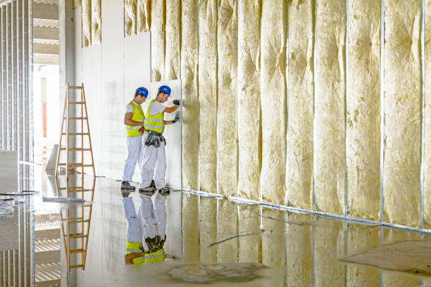 Best Insulation Installation Services in Lanett, AL